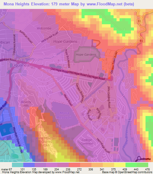 Mona Heights,Jamaica Elevation Map