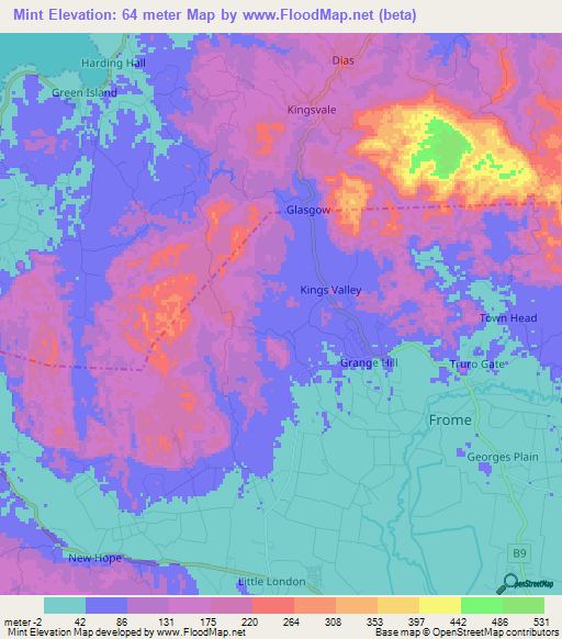 Mint,Jamaica Elevation Map