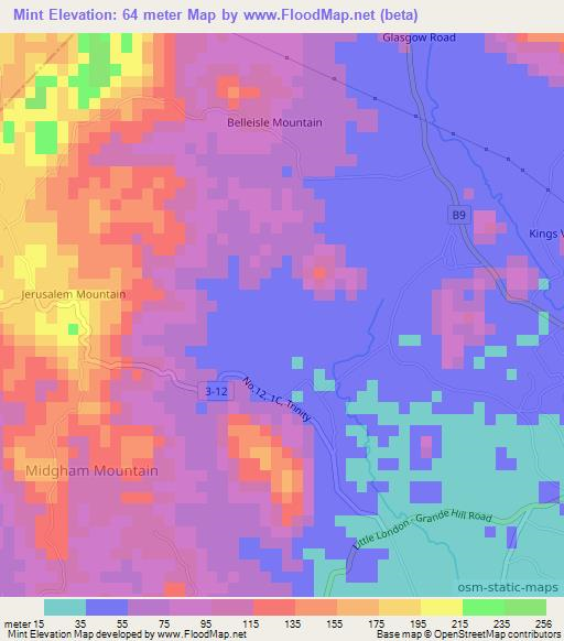 Mint,Jamaica Elevation Map