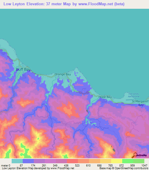 Low Leyton,Jamaica Elevation Map