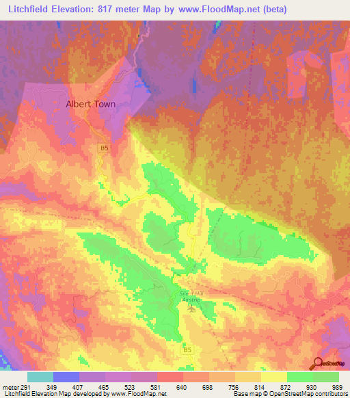 Litchfield,Jamaica Elevation Map