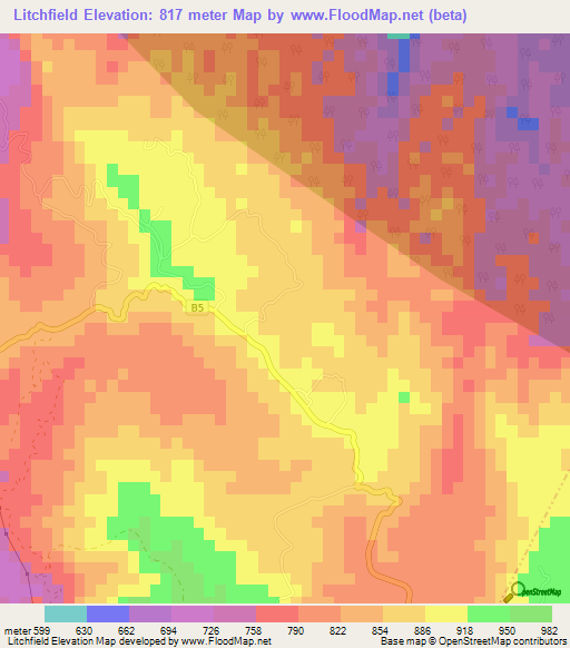 Litchfield,Jamaica Elevation Map