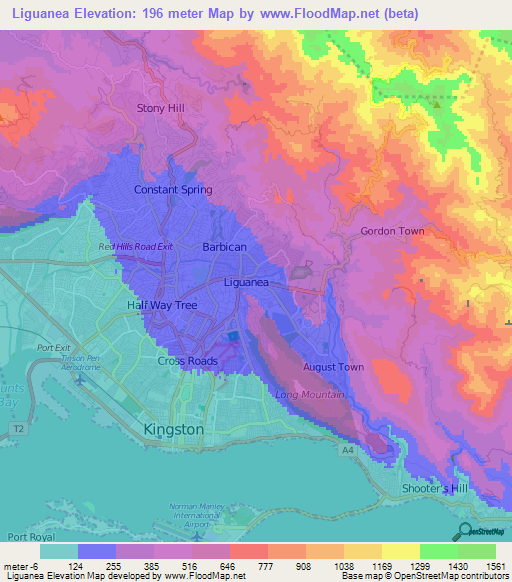 Liguanea,Jamaica Elevation Map