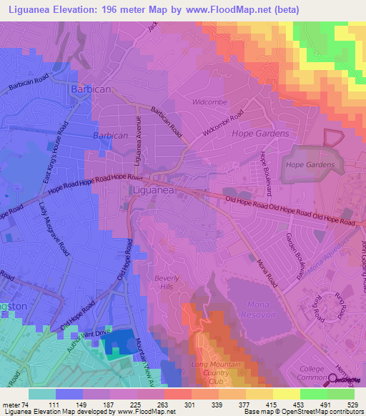 Liguanea,Jamaica Elevation Map