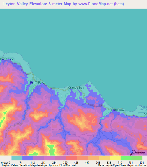 Leyton Valley,Jamaica Elevation Map