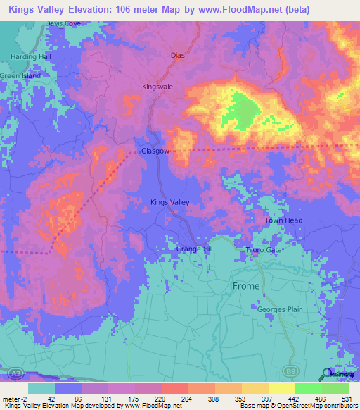 Kings Valley,Jamaica Elevation Map