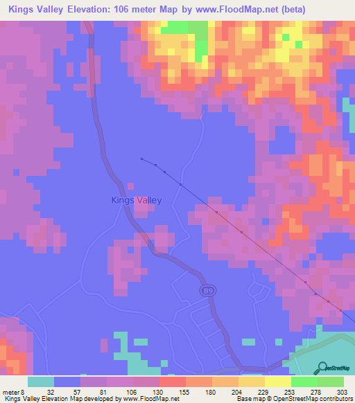 Kings Valley,Jamaica Elevation Map