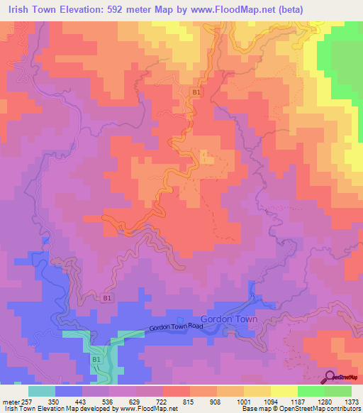 Irish Town,Jamaica Elevation Map