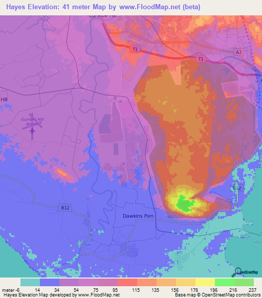 Hayes,Jamaica Elevation Map