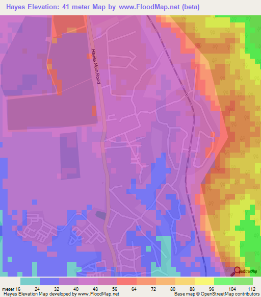 Hayes,Jamaica Elevation Map