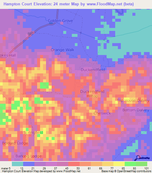 Hampton Court,Jamaica Elevation Map
