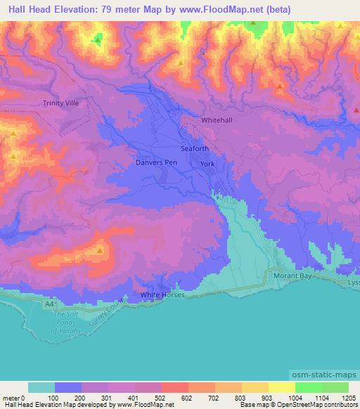 Hall Head,Jamaica Elevation Map