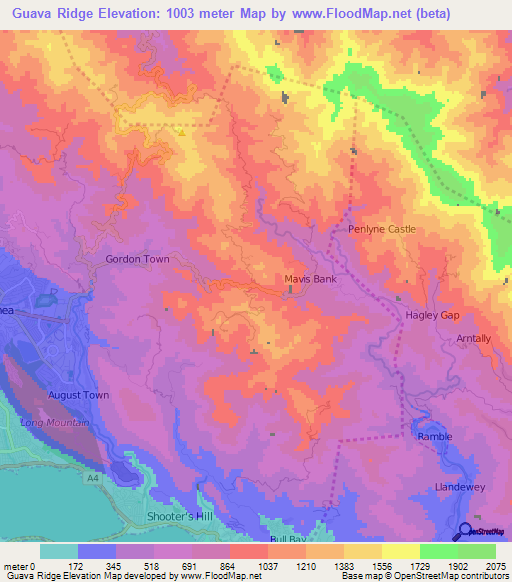 Guava Ridge,Jamaica Elevation Map