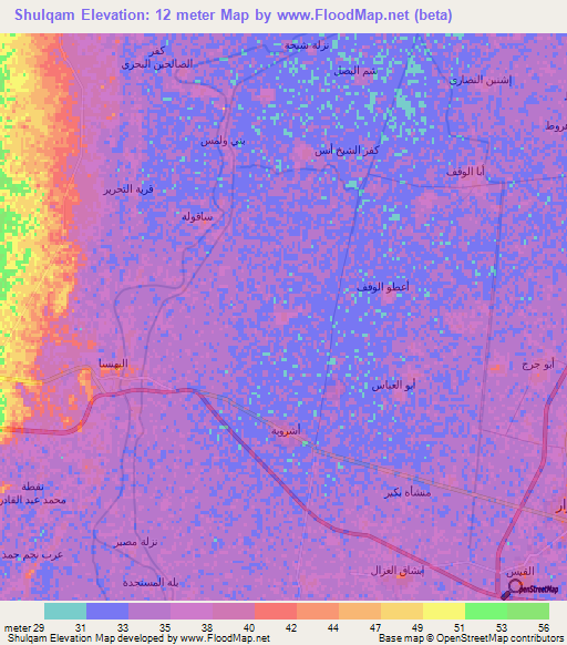 Shulqam,Egypt Elevation Map