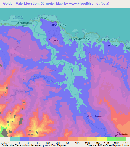 Golden Vale,Jamaica Elevation Map