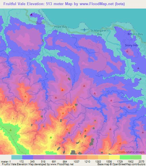 Fruitful Vale,Jamaica Elevation Map