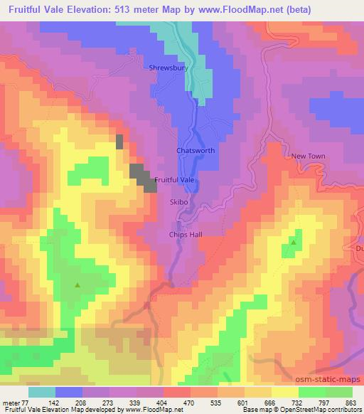 Fruitful Vale,Jamaica Elevation Map