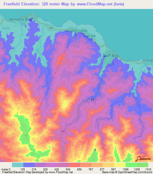 Freefield,Jamaica Elevation Map