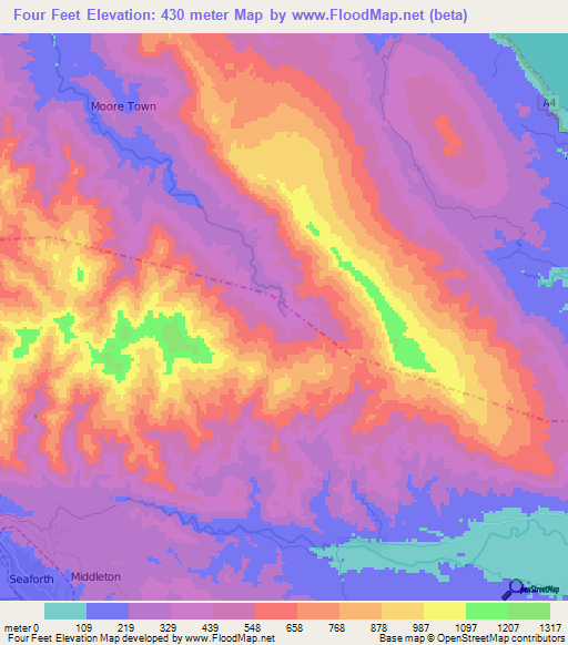 Four Feet,Jamaica Elevation Map