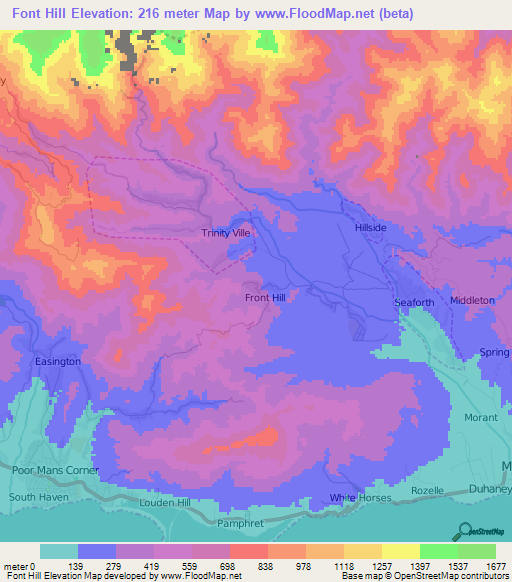 Font Hill,Jamaica Elevation Map