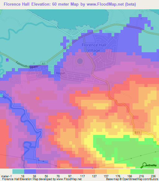 Florence Hall,Jamaica Elevation Map