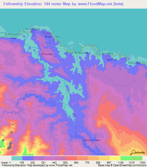 Fellowship,Jamaica Elevation Map