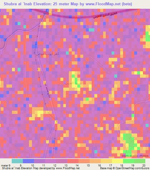 Shubra al `Inab,Egypt Elevation Map