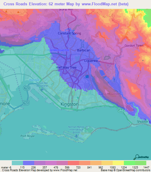 Cross Roads,Jamaica Elevation Map