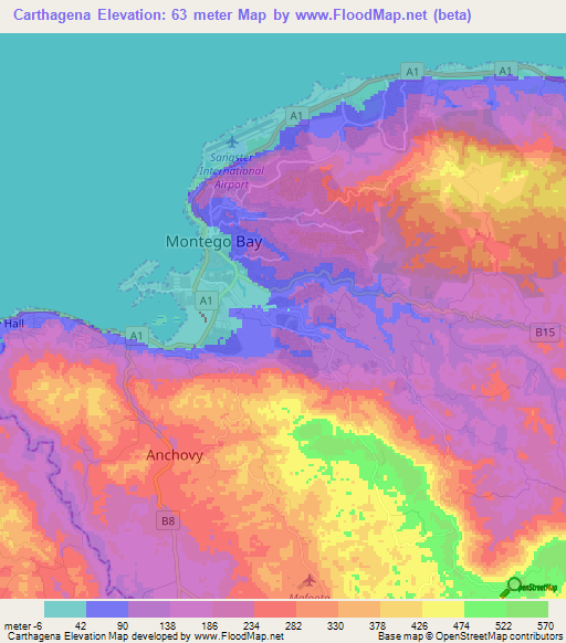 Carthagena,Jamaica Elevation Map