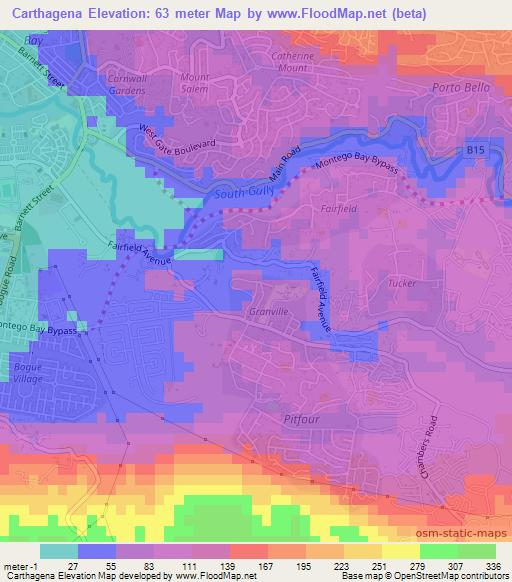 Carthagena,Jamaica Elevation Map