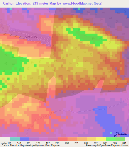 Carlton,Jamaica Elevation Map