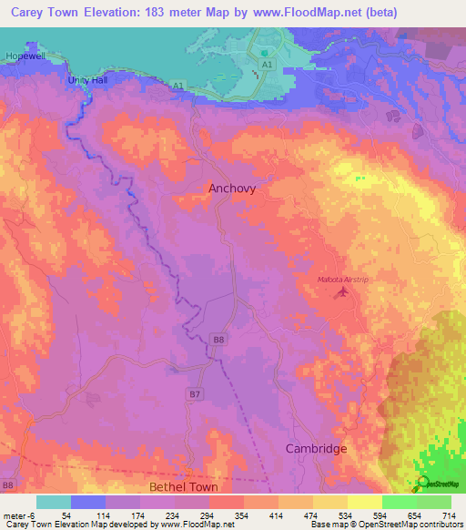 Carey Town,Jamaica Elevation Map
