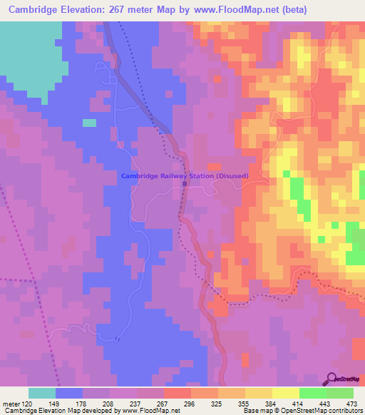 Cambridge,Jamaica Elevation Map