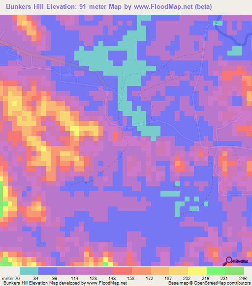 Bunkers Hill,Jamaica Elevation Map