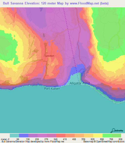 Bull Savanna,Jamaica Elevation Map