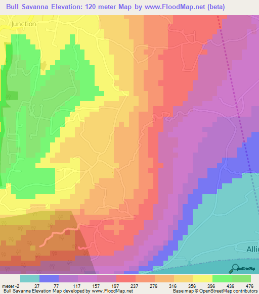 Bull Savanna,Jamaica Elevation Map