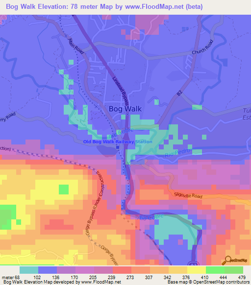 Bog Walk,Jamaica Elevation Map