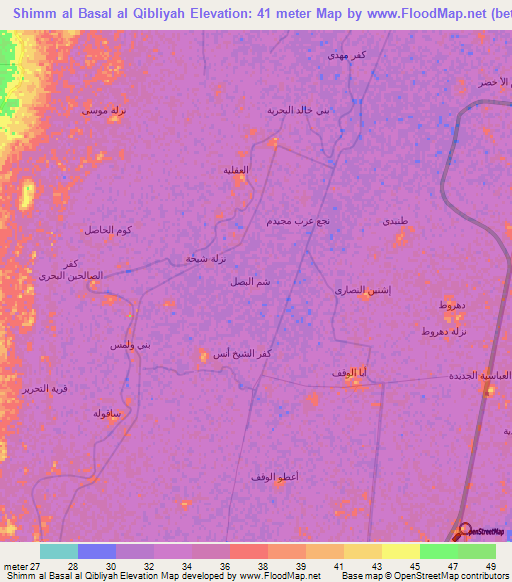 Shimm al Basal al Qibliyah,Egypt Elevation Map