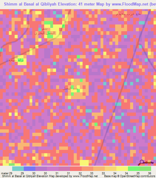 Shimm al Basal al Qibliyah,Egypt Elevation Map