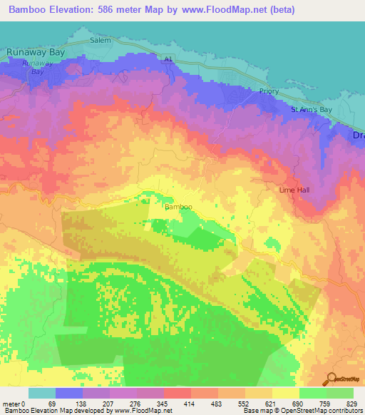 Bamboo,Jamaica Elevation Map