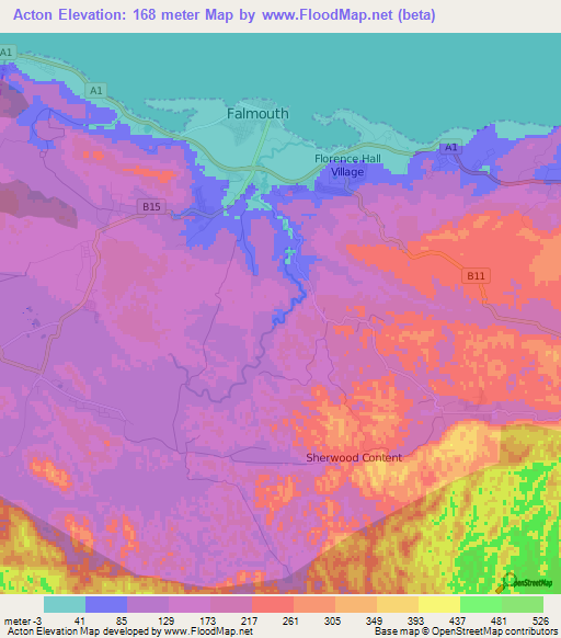 Acton,Jamaica Elevation Map