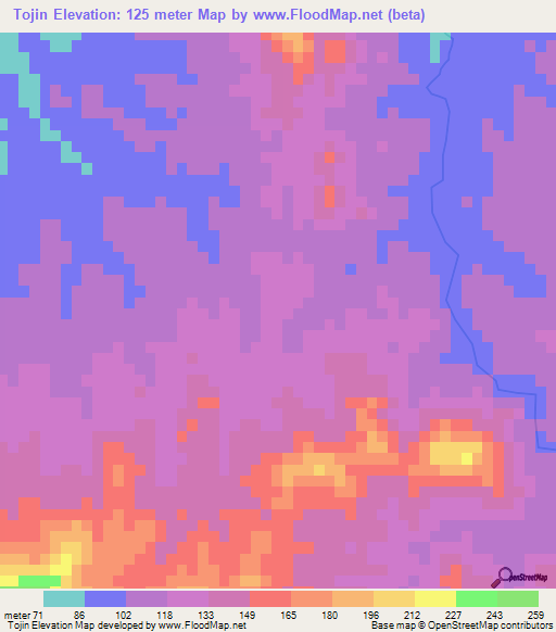 Tojin,Dominican Republic Elevation Map