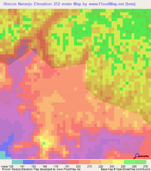 Rincon Naranjo,Dominican Republic Elevation Map