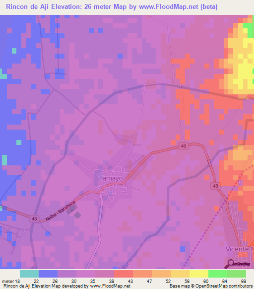 Rincon de Aji,Dominican Republic Elevation Map