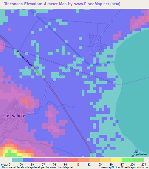 Rinconada,Dominican Republic Elevation Map