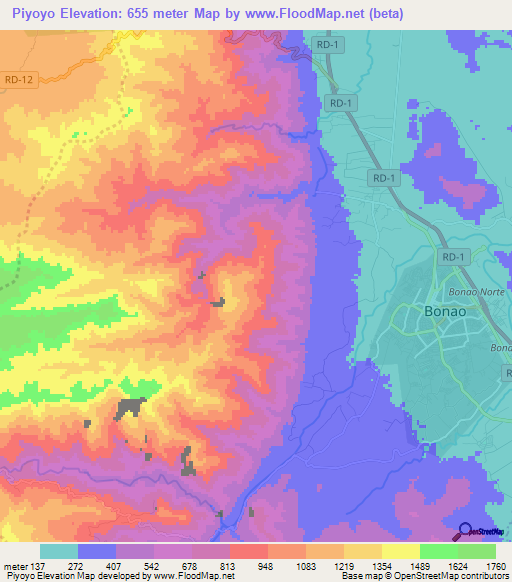 Piyoyo,Dominican Republic Elevation Map