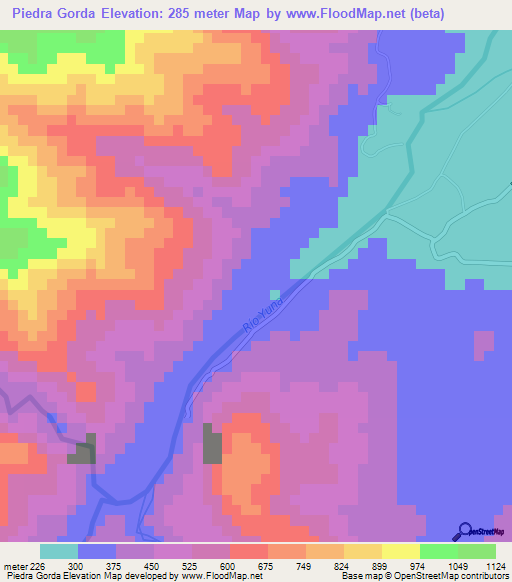 Piedra Gorda,Dominican Republic Elevation Map