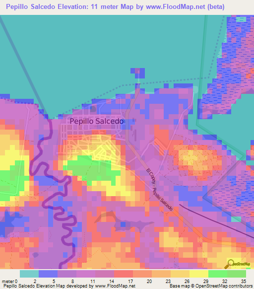 Pepillo Salcedo,Dominican Republic Elevation Map