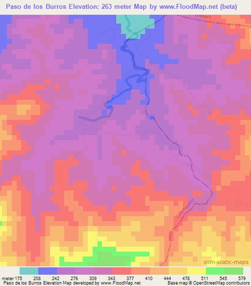 Paso de los Burros,Dominican Republic Elevation Map