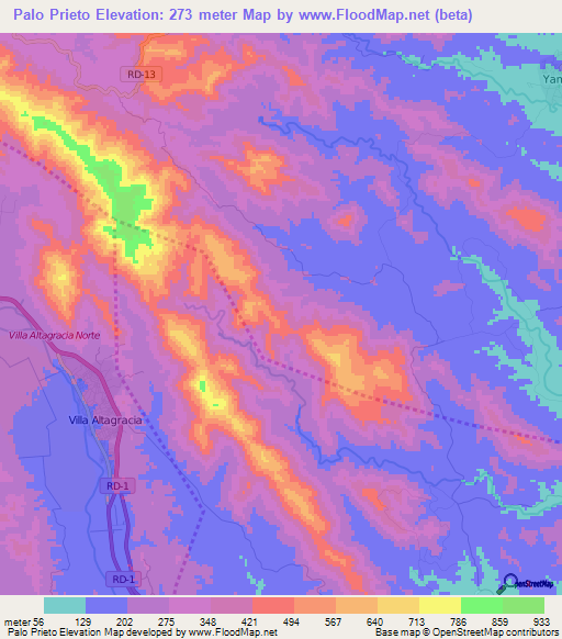 Palo Prieto,Dominican Republic Elevation Map